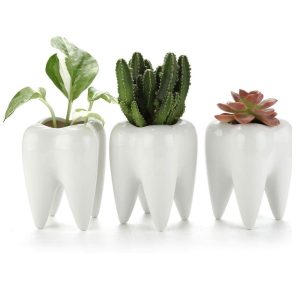 Doniczki na sukulenty Biurko W kształcie zęba