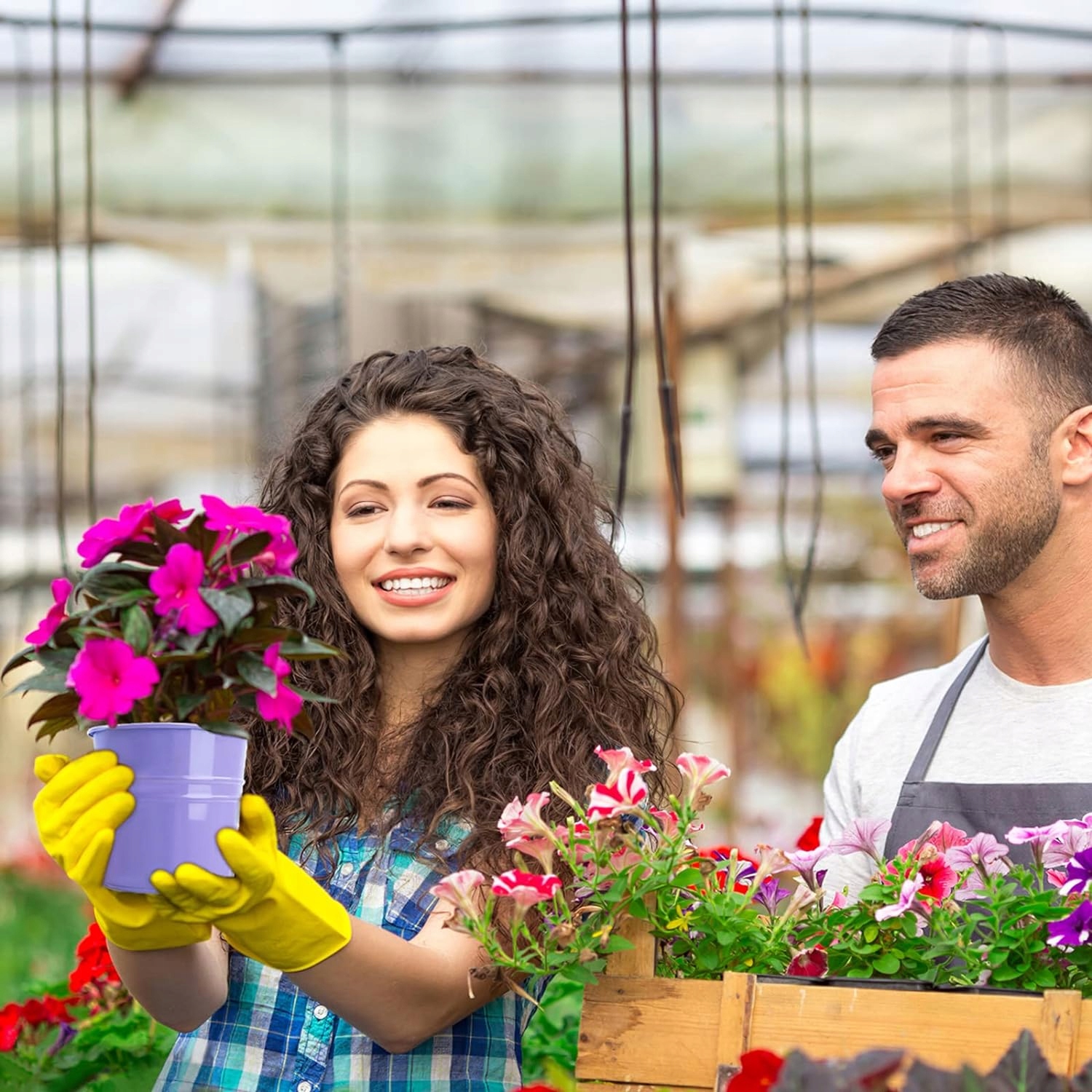 10 SZT. DONICZKA OGRODOWA BALKONOWA WKŁAD KOLOROWA Z HAKIEM WISZĄCE - obrazek 11