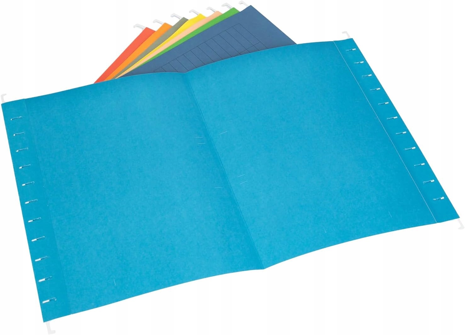 SEGREGATOR NA DOKUMENTY | ZESTAW 8 SZTUK | A4| KOLOROWE| 31,4 x 24 cm - obrazek 12