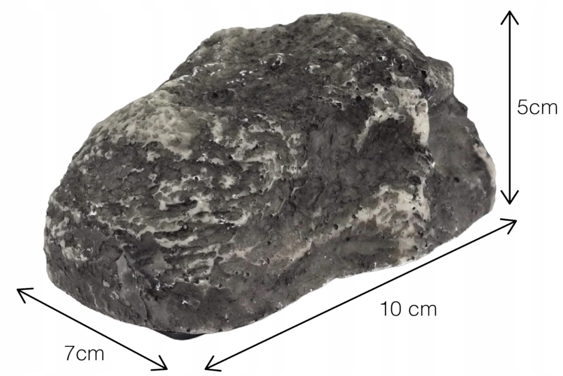 654991ed7efeaef02c439fc2e4eadfa2